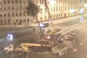 Прокуратура Пскова: искусственная елка в целости и сохранности, мы проверили! 