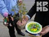 День защиты детей в Кишиневе 