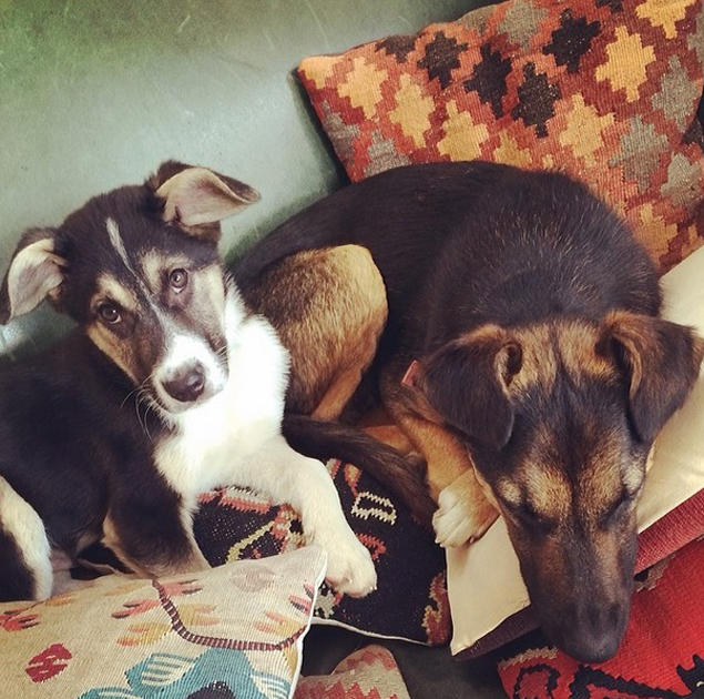 Мама со своим сыном Джейком Мама со своим сыном Джейком