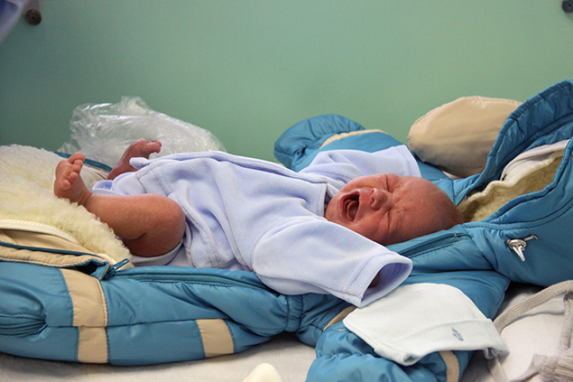 Елена ВАХРУШЕВА