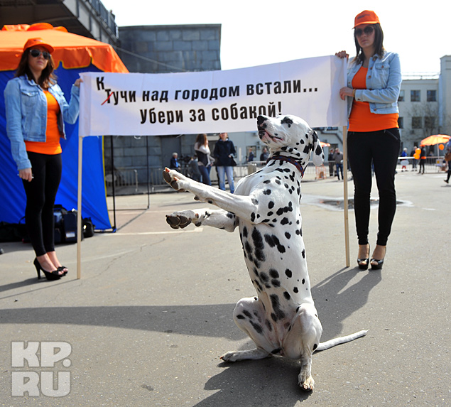 Но мы, которые не хамы, которые не гадим в подъездах,  и не бомбим мирные кварталы, собрались не зря! 