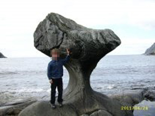 Тайна сенатора Маккейна