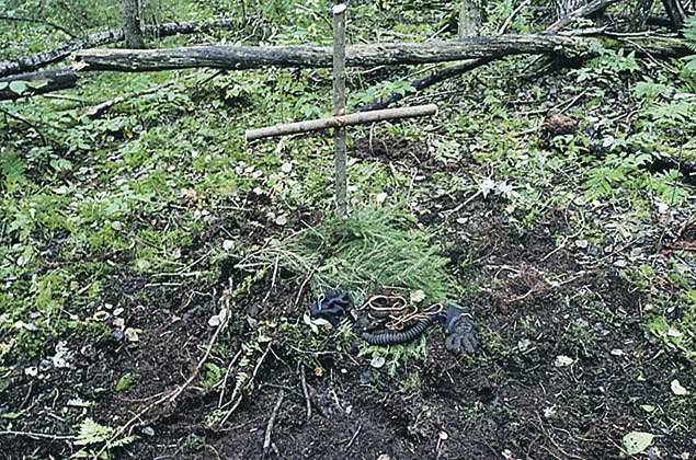 Речей над могилой не было, какие уж тут речи, когда все на душе и без слов. Речей над могилой не было, какие уж тут речи, когда все на душе и без слов.