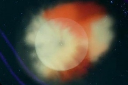 ...и в анфас. ...и в анфас.