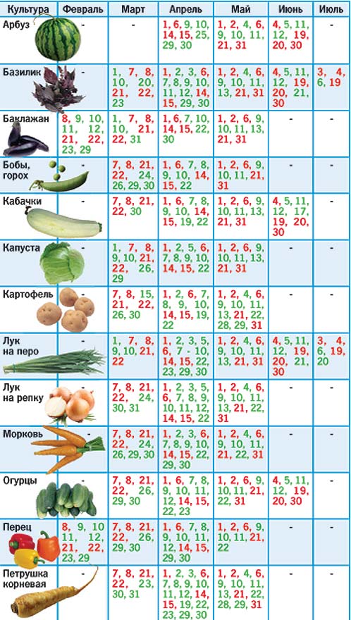 Кожаный клатч своими руками мастер класс 62
