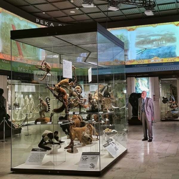 Выставка «Императорские охоты прошлого и настоящего»