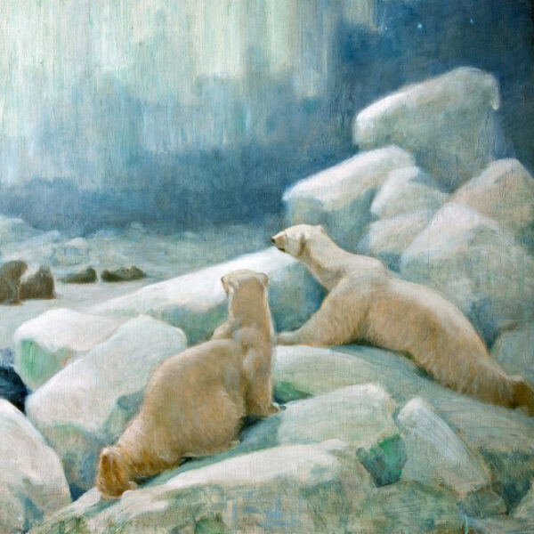 Выставка «Зима» в Дарвиновском музее