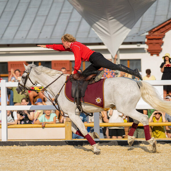 Чемпионат Мира по джигитовке