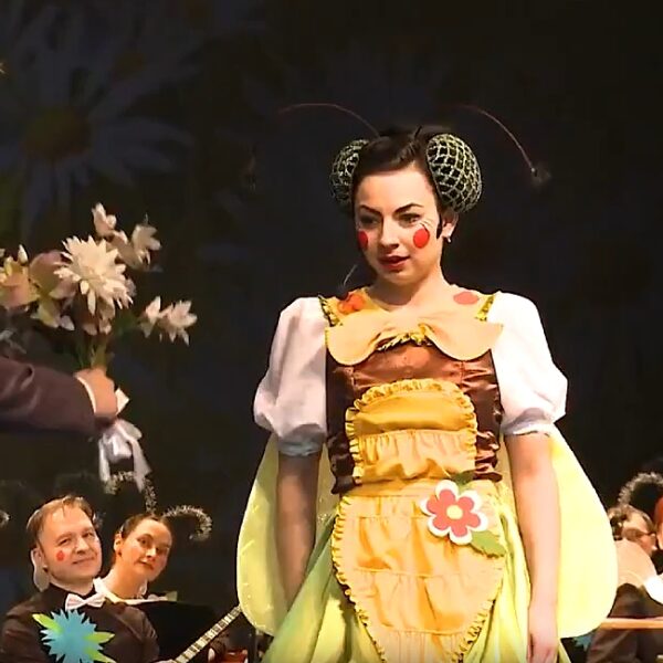 Спектакль «Муха-Цокотуха. Именины с оркестром»