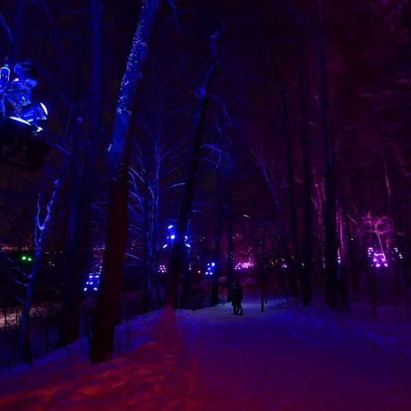 Световые шоу на Воробьевых горах