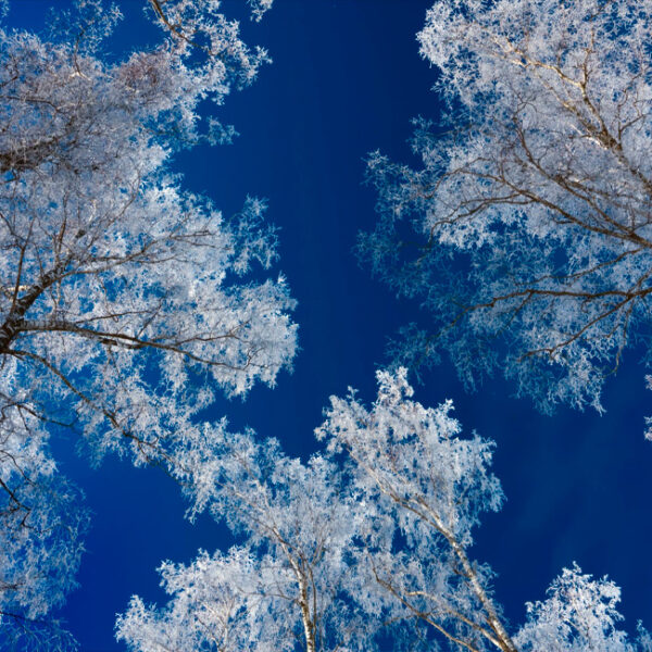 Спектакль «Морозко» в Фольклорном центре «Москва»