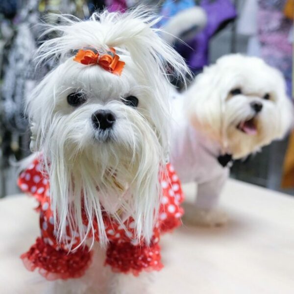 Выставка «Зооиндустрия»