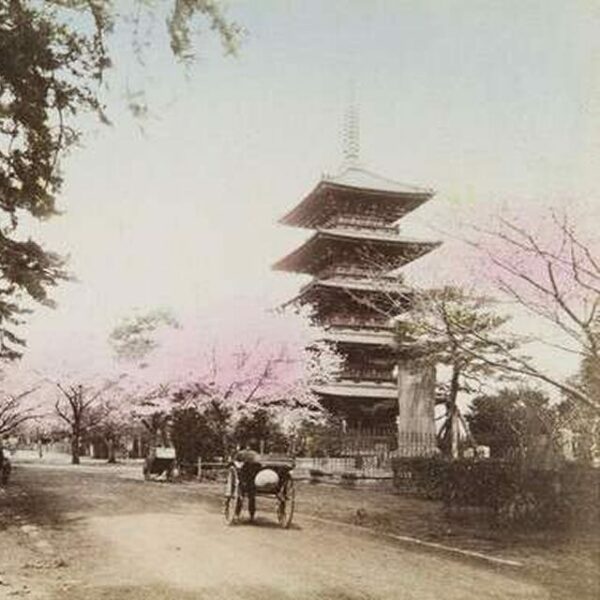 Выставка «Осторожно раскрашено»