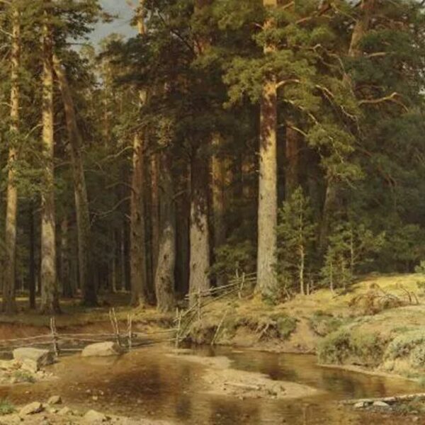 Выставка Ивана Шишкина