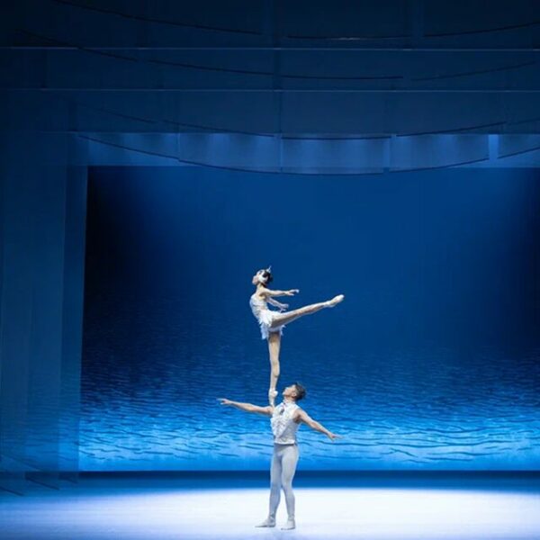 Акробатическая драма «Лебедь»