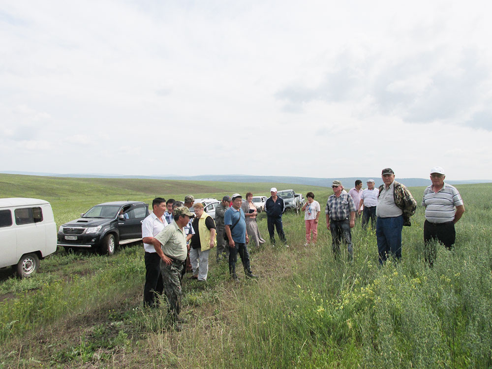 Малаховка осень. Х. Город чарск казахстан. Ооо мир воткинский район удмуртия. Манычский зерноградский район.