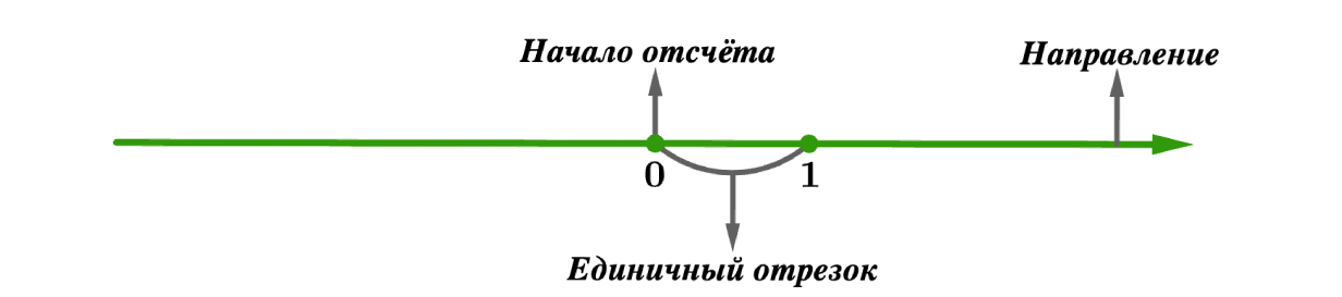 Координатная прямая