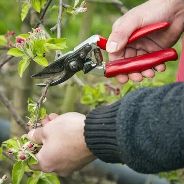 Лучшие садовые секаторы