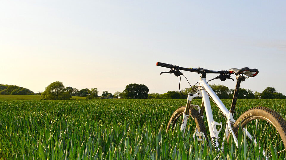 Лучшие производители велосипедов в 2023 году