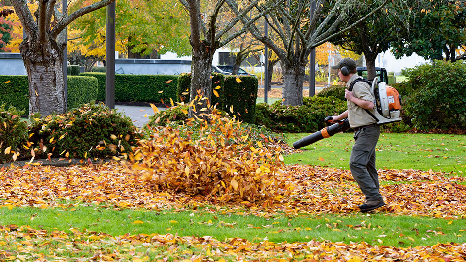 13 лучших ранцевых воздуходувок в 2025 году
