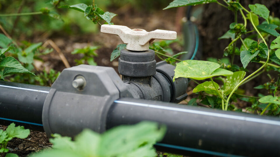 На дачных участках шаровые краны применяют в системах полива. Фото: Yashi S007 / Shutterstock / Fotodom