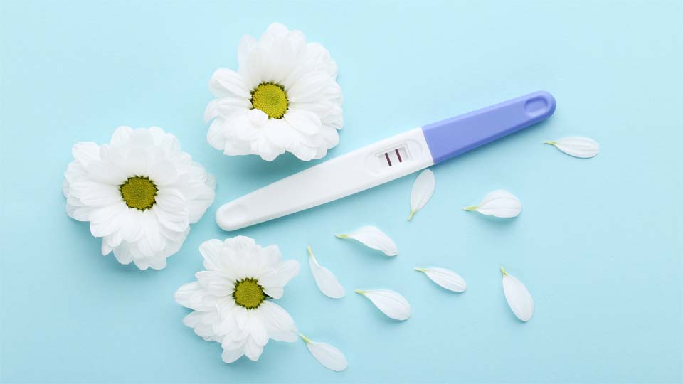 2-я неделя беременности после зачатия