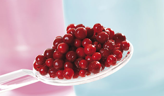 Применение брусники