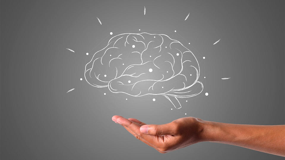 Всемирный день мозга в​ 2026 году: история и традиции праздника