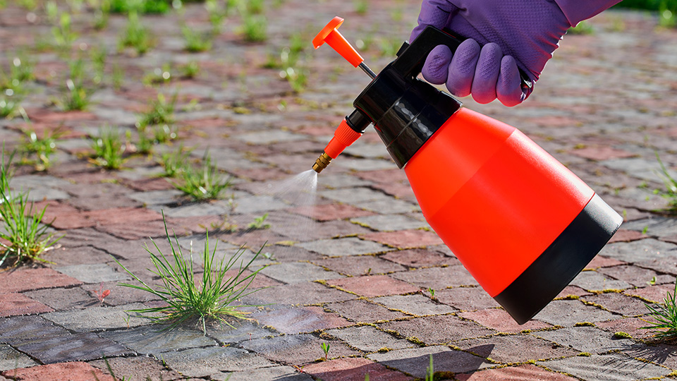 Грейдер от сорняков