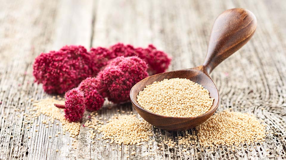 Амарант: польза и вред для организма