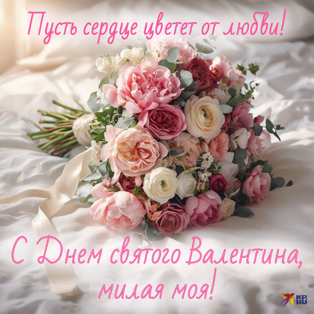 Популярные открытки на 14 Февраля