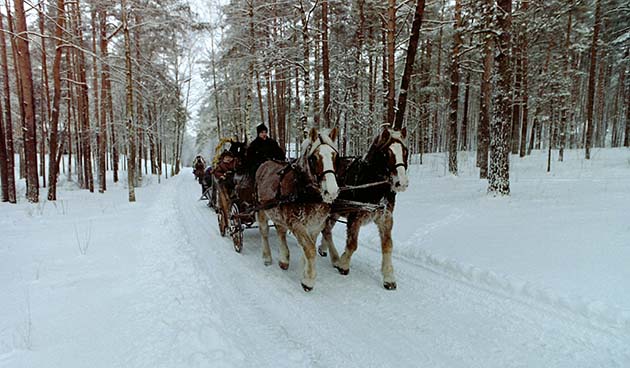 Зима