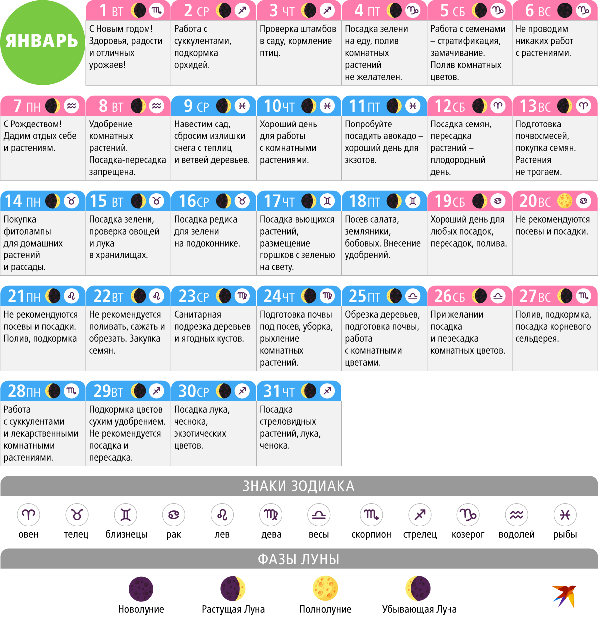 Форум по теме: Лунный посевной календарь на 2019 год садовода Обсуждение по теме: Лунный посевной календарь на 2019 год садовода