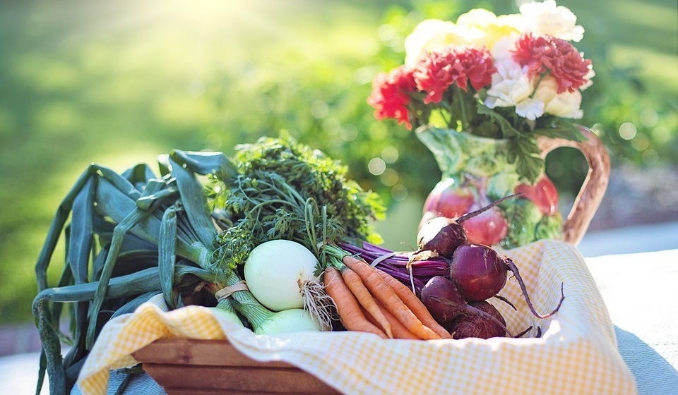 Советы садоводам и огородникам на все времена года