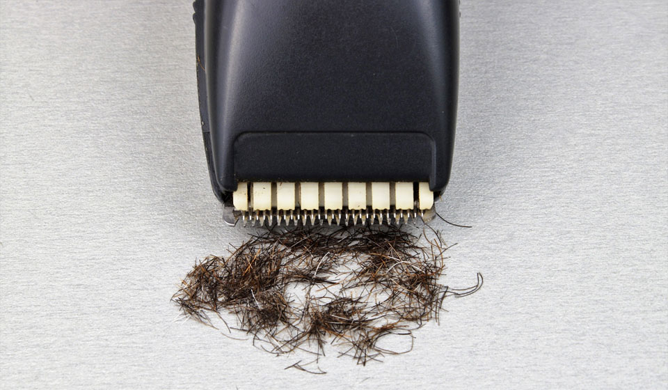 tild6562 3731 4564 b430 316237633838 960 Как вставить в триммер батарейку