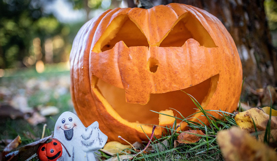 Поздравления на Хэллоуин 2021 стихи и проза