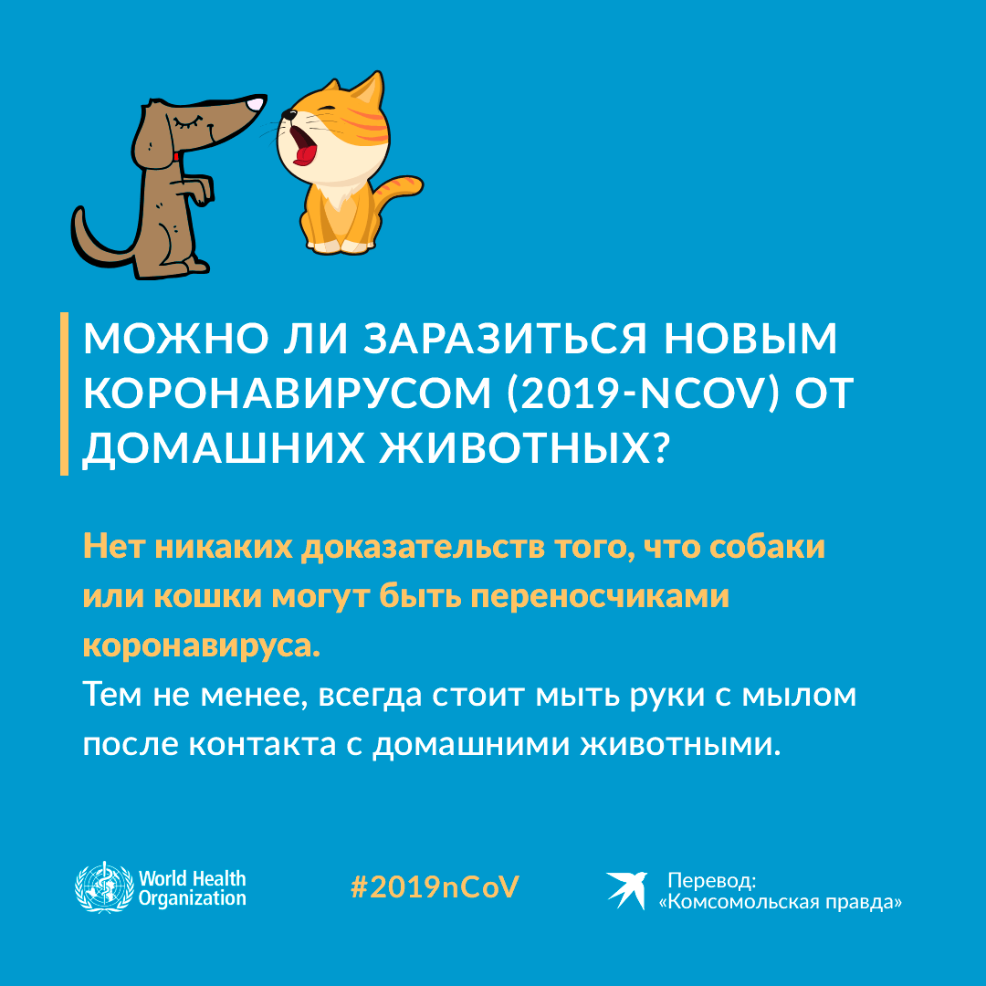 Коронавирус у людей: что такое, симптомы, методы лечения