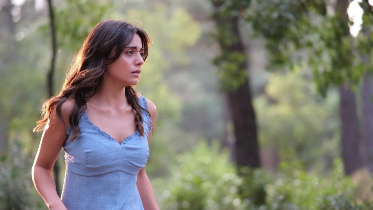 Ресей саябақтарында порно