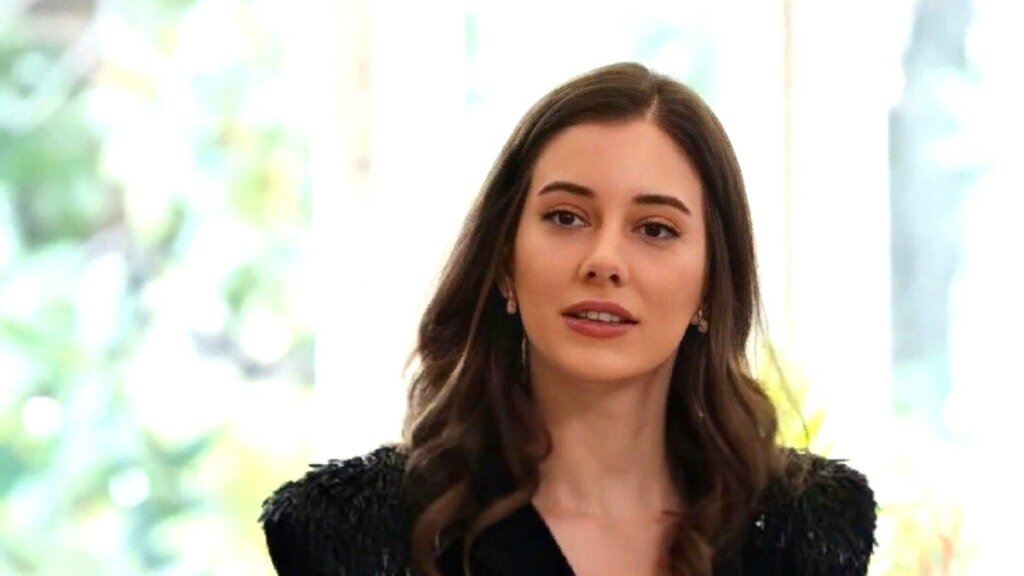 Хальвет Суны и Халис у ног Сейран — самые свежие спойлеры «Зимородка»