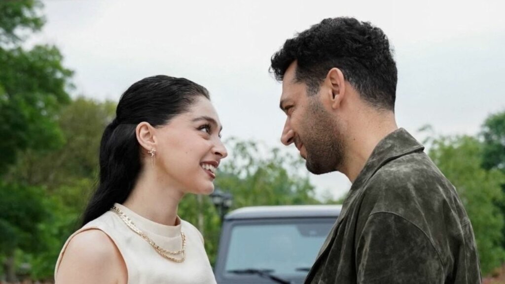Ночь любви Серхата и Зейнеп: описание 31 серии турецкого сериала «Розы и грехи»