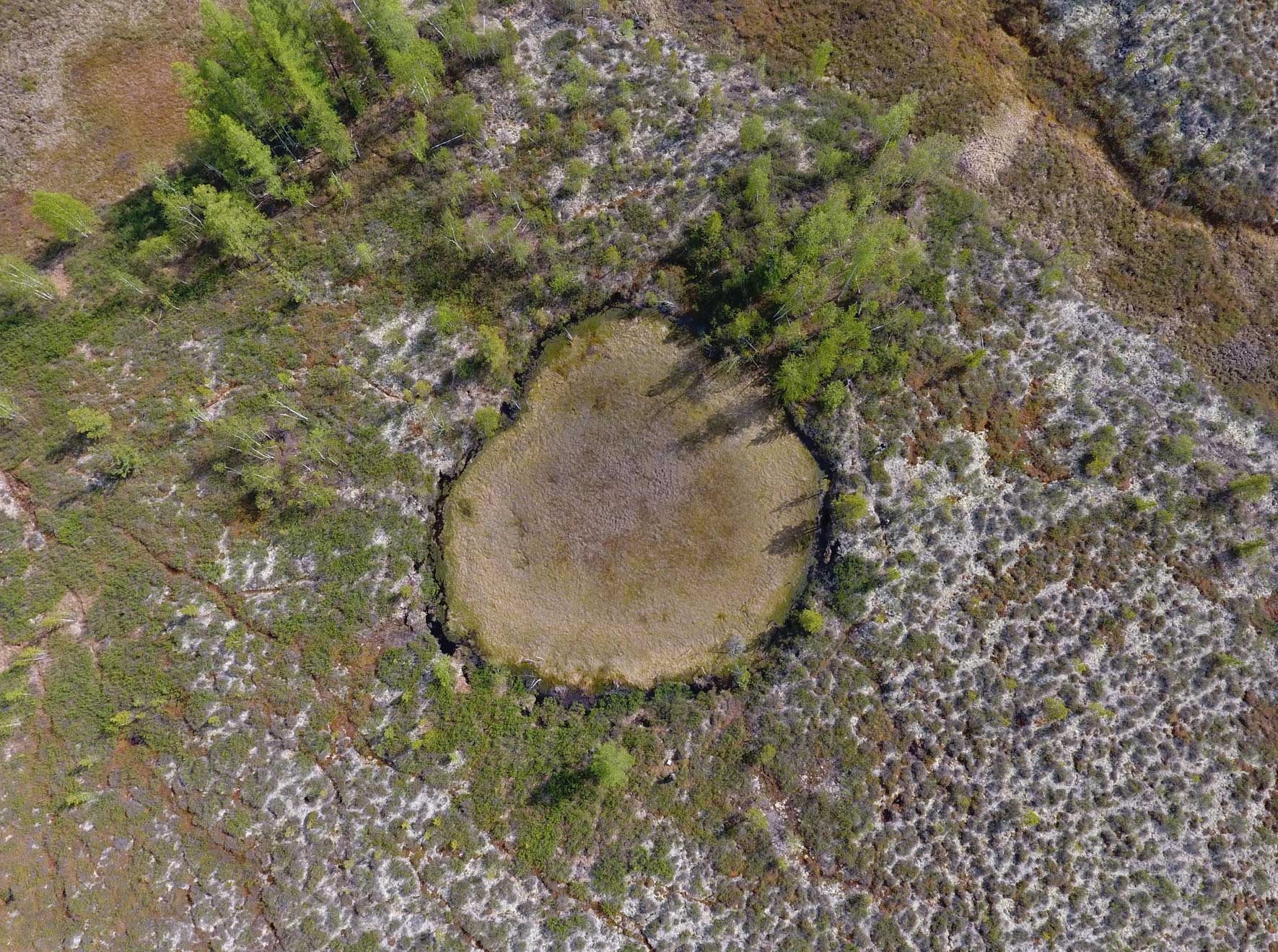 В поисках Тунгусского метеорита