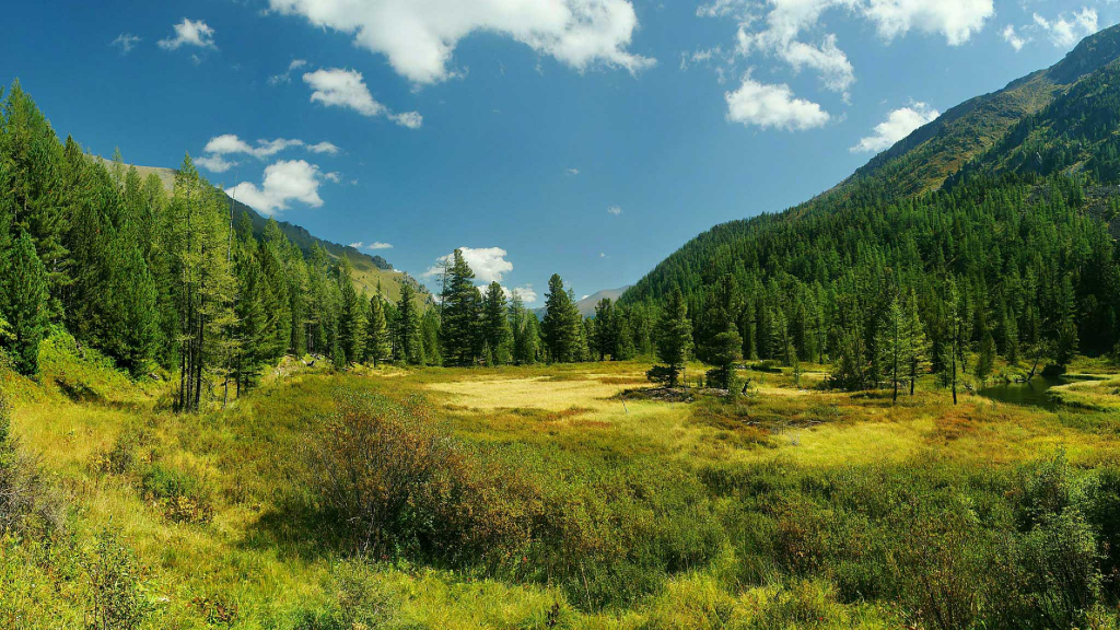 алтай