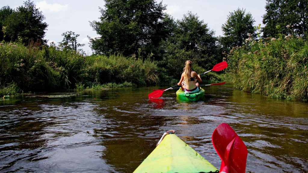 сплав по реке