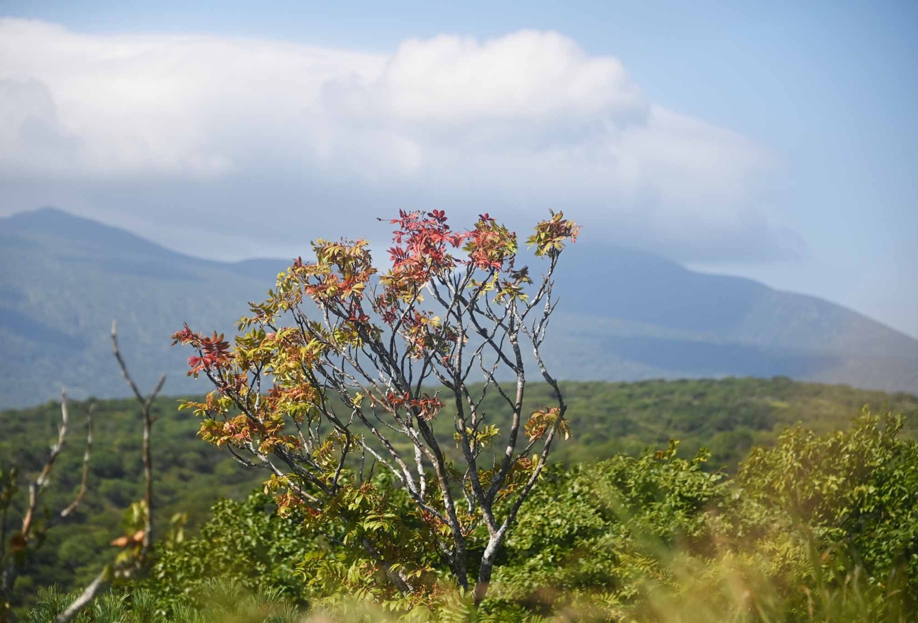 экспедиция на курилы 49