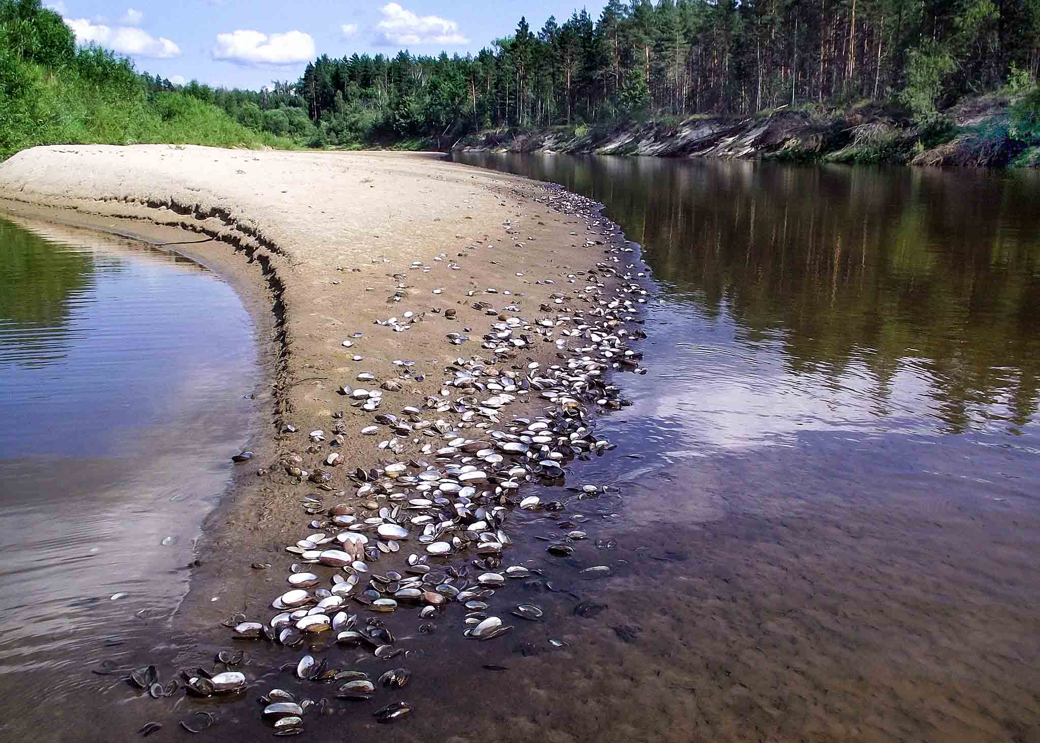 Наталья Вавилова жалаңаш