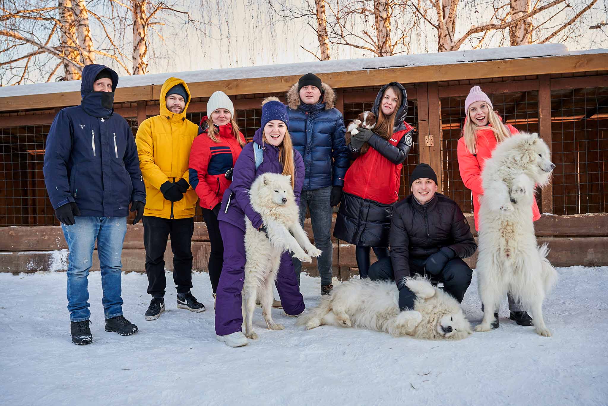 в центре хаски