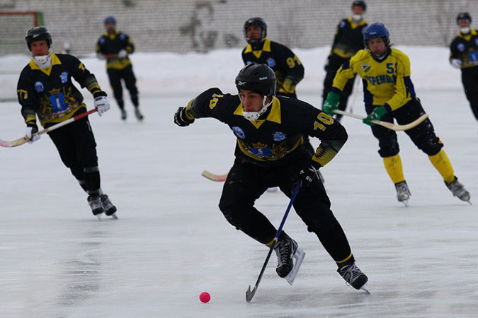 дубль ульяновск. дубль ульяновск. волга ульяновск 2008. дубль ульяновск. улазов сергей хоккей с мячом.