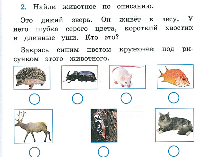 Окружающий мир 1 класс распечатать бесплатно