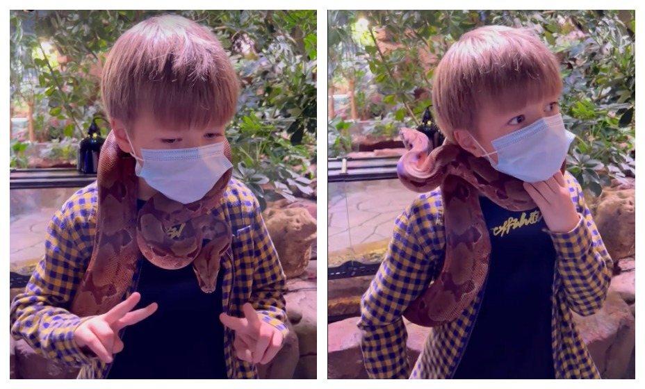 Младший сын Аршавина поигрался с питоном. 
Фото: Instagram Юлии Барановской 