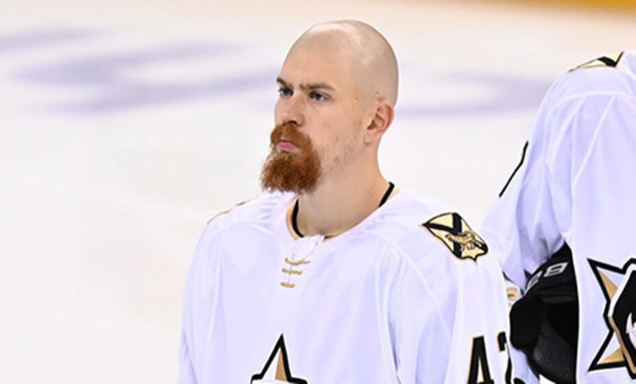 Верба, фото Адмирал